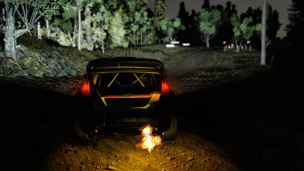 Игра WRC 5 FIA World Rally Championship, скриншот