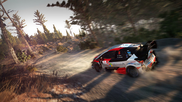 Игра WRC 8 FIA World Rally Championship, скриншот