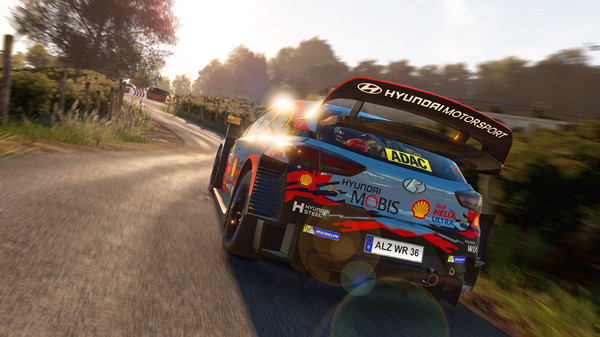 Игра WRC 8 FIA World Rally Championship, скриншот
