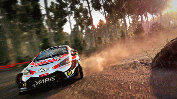 Игра WRC 8 FIA World Rally Championship, скриншот