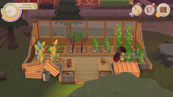 Игра Wylde Flowers, скриншот