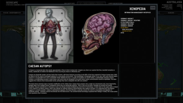 Игра Xenonauts, скриншот