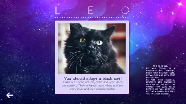 Игра Zodiacats, скриншот
