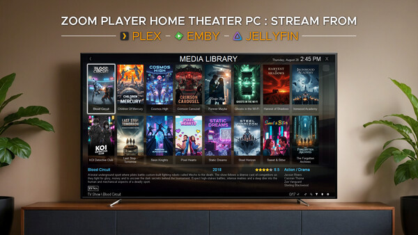 Игра Zoom Player, скриншот