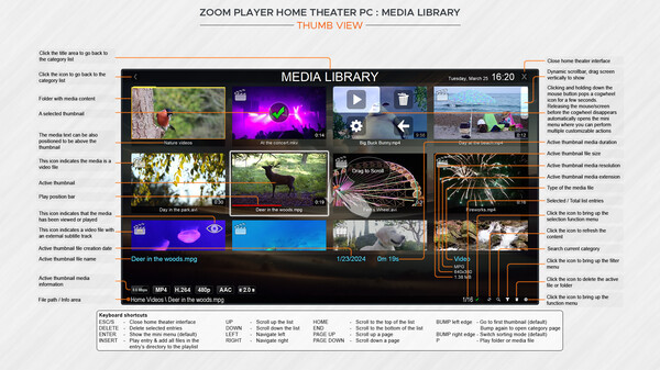 Игра Zoom Player, скриншот