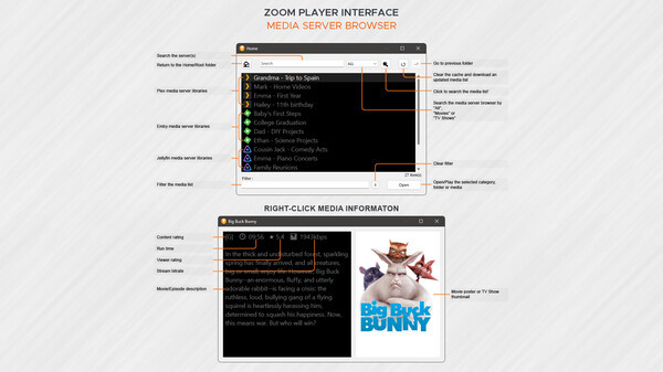 Игра Zoom Player, скриншот