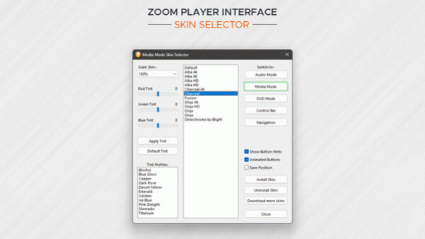 Игра Zoom Player, скриншот