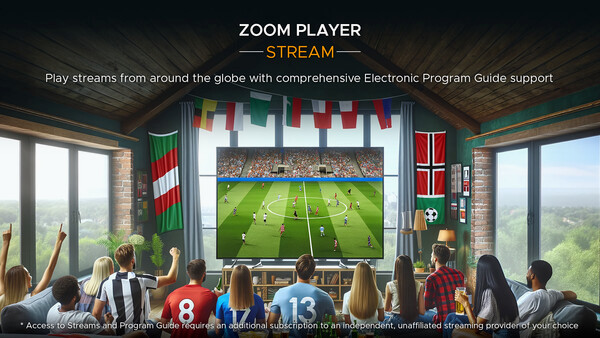Игра Zoom Player, скриншот