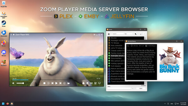 Игра Zoom Player, скриншот