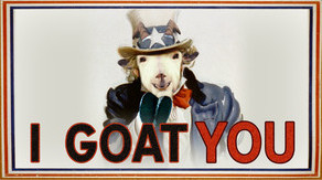 Превью трейлера игры GOAT OF DUTY