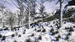 Превью трейлера игры The Cold White