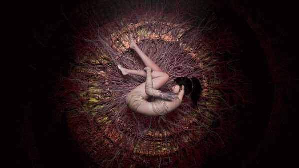 Превью трейлера игры WUCHANG: Fallen Feathers