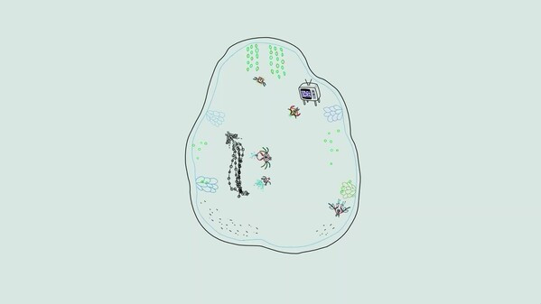 Превью трейлера игры Ynglet